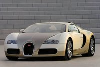 Click image for larger version

Name:	Veyron_Gold_01.jpg
Views:	2025
Size:	96.0 KB
ID:	879077