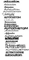 Click image for larger version

Name:	Autocustom Fonts.jpg
Views:	152
Size:	350.9 KB
ID:	2290363