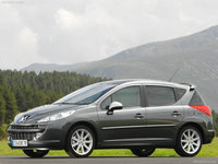 Click image for larger version

Name:	Peugeot-207_SW_RC_2008_800x600_wallpaper_03.jpg
Views:	315
Size:	79.1 KB
ID:	701131