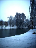 Click image for larger version

Name:	winter.jpg
Views:	47
Size:	56.1 KB
ID:	1363944