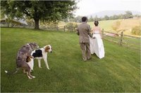 Click image for larger version

Name:	funny-weddings-03.jpg
Views:	204
Size:	42.4 KB
ID:	1735839