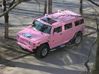 Click image for larger version

Name:	Pink_Cars_71960_20080511.jpg
Views:	93
Size:	178.8 KB
ID:	699598