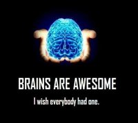 Click image for larger version

Name:	brain.jpg
Views:	59
Size:	42.2 KB
ID:	2701178