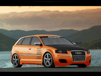 Click image for larger version

Name:	Audi S3  .jpg
Views:	41
Size:	319.5 KB
ID:	327783