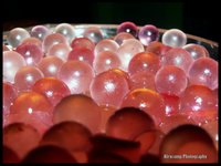 Click image for larger version

Name:	Bubble.jpg
Views:	49
Size:	587.0 KB
ID:	1021899