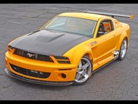 Click image for larger version

Name:	2005-mustang-gt-r-concept-fa-top-1600x1200.jpg
Views:	773
Size:	390.7 KB
ID:	8251