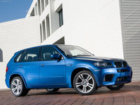 Click image for larger version

Name:	BMW-X5_M_2010_1600x1200_wallpaper_04.jpg
Views:	38
Size:	377.5 KB
ID:	1225290