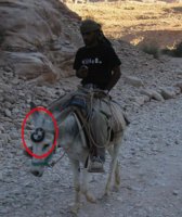 Click image for larger version

Name:	bmw_donkey.png
Views:	65
Size:	300.5 KB
ID:	1718755