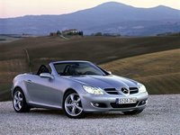 Click image for larger version

Name:	Mercedes-Benz-SLK350_2005_1600x1200_wallpaper_03.jpg
Views:	31
Size:	165.7 KB
ID:	2611260