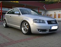 Click image for larger version

Name:	pics-max-11354-319040-2003-audi-a3-typ-8p.jpg
Views:	40
Size:	42.4 KB
ID:	1019609