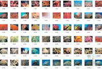 Click image for larger version

Name:	80 Beautiful Corals Stock Photos HR [Up to 4096 X 3072] - sample.JPG
Views:	103
Size:	227.1 KB
ID:	1527677