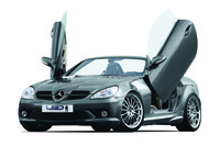 Click image for larger version

Name:	tpp_lsd_mercedes_slk_171_b_grsplus.high.jpg
Views:	240
Size:	606.1 KB
ID:	428411