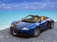 Click image for larger version

Name:	veyron_TKZ.jpg
Views:	58
Size:	519.8 KB
ID:	237225