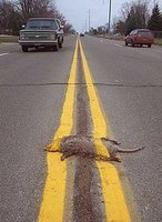 Click image for larger version

Name:	road_kill.jpg
Views:	201
Size:	22.0 KB
ID:	372213