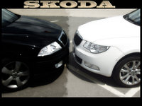 Click image for larger version

Name:	Skoda1.jpg
Views:	53
Size:	746.4 KB
ID:	985369
