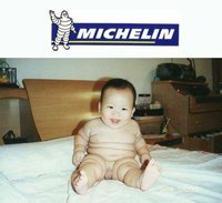 Click image for larger version

Name:	michelin_320.jpg
Views:	126
Size:	24.2 KB
ID:	70190