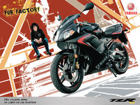 Click image for larger version

Name:	06-yamaha-tzr50-pub-1024.jpg
Views:	1026
Size:	228.7 KB
ID:	232768