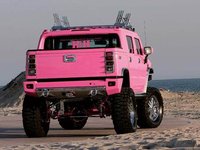 Click image for larger version

Name:	hummer-pink-1.jpg
Views:	24
Size:	29.3 KB
ID:	476637