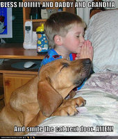 Click image for larger version

Name:	funny-dog-pictures-praying-dog-boy-bed.jpg
Views:	242
Size:	190.9 KB
ID:	1776017