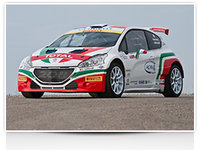 Click image for larger version

Name:	Paolo-Andreuccis-Peugeot-has-a-new-Monza-livery.jpg
Views:	26
Size:	24.8 KB
ID:	3081826