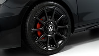 Click image for larger version

Name:	vw_rrgti_prize003.jpg
Views:	545
Size:	397.6 KB
ID:	1141732