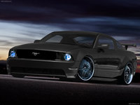 Click image for larger version

Name:	Ford-Mustang_Shelby_GT500_2010_1600x1200_wallpaper_02.jpg
Views:	100
Size:	494.0 KB
ID:	1734290