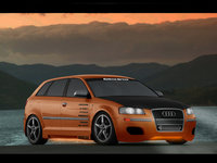 Click image for larger version

Name:	Audi S3 2  .jpg
Views:	41
Size:	286.9 KB
ID:	327784