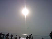 Click image for larger version

Name:	soare dimineatza la mare.jpg
Views:	31
Size:	128.4 KB
ID:	161294