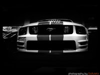 Click image for larger version

Name:	Mustang5.jpg
Views:	44
Size:	86.5 KB
ID:	245781