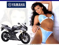 Click image for larger version

Name:	83yamaha_r1_2004_slut5_405.jpeg
Views:	66
Size:	167.3 KB
ID:	23774