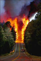 Click image for larger version

Name:	fire.jpg
Views:	445
Size:	37.2 KB
ID:	1127062