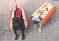 Click image for larger version

Name:	hotdogs.jpg
Views:	111
Size:	44.4 KB
ID:	476498