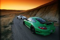 Click image for larger version

Name:	sharkworks-porsche-gt-3.jpg
Views:	80
Size:	678.8 KB
ID:	1016730