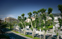 Click image for larger version

Name:	monaco1920.jpg
Views:	47
Size:	3.04 MB
ID:	1323950