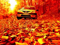 Click image for larger version

Name:	forest1.JPG
Views:	63
Size:	335.1 KB
ID:	529991