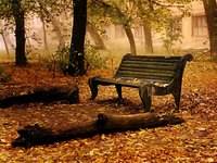 Click image for larger version

Name:	nature-wallpaper-autumn-fall_1600x1200.jpg
Views:	96
Size:	577.1 KB
ID:	1026363