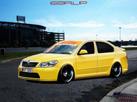 Click image for larger version

Name:	SKODA2.jpg
Views:	71
Size:	2.11 MB
ID:	1579118