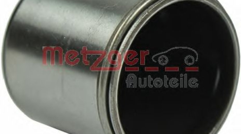 Tija, pompa inalta presiune AUDI A4 Cabriolet (8H7, B6, 8HE, B7) (2002 - 2009) METZGER 2250146 piesa NOUA