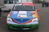 Timis Rally