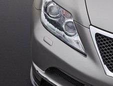 TMG Sports 650