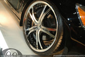 Tokyo Auto Salon 2007