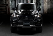 Toyota Hilux Wald International