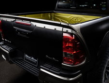 Toyota Hilux Wald International