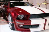 Tractorri: Gallardo inside, Mustang outside