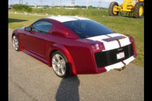 Tractorri: Gallardo inside, Mustang outside
