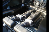 Tractorri: Gallardo inside, Mustang outside