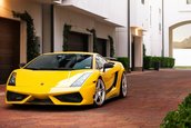 Trenduri auto: Ce culori de caroserie vor fi cele mai populare in 2016?