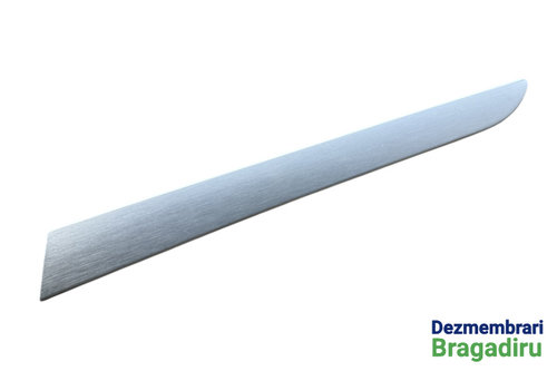Trim usa dreapta spate Cod: 4F0867420 Audi A6 4F/C6 [facelift] [2008 - 2011] Avant wagon 5-usi 2.0 T...
