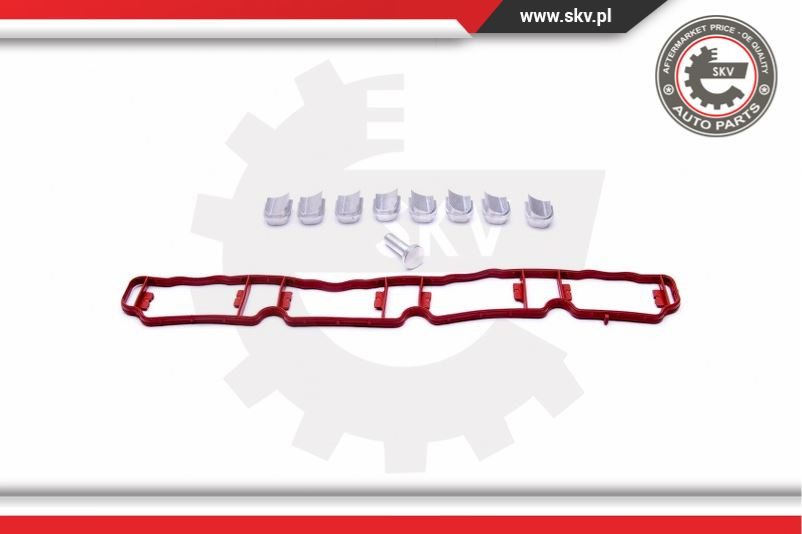 Trusa pentru reparatie ; 2.0 TFSI EA113