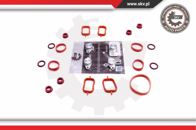Trusa pentru reparatie ; BMW E46 X3 E83 E60 E90 M47 M47N ; 4x22mm